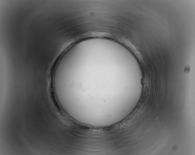 X0000103220110200808280935