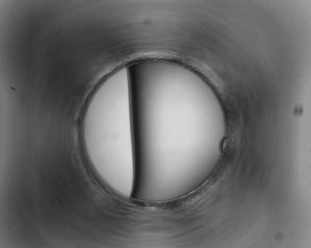 X0000103220111200808280935