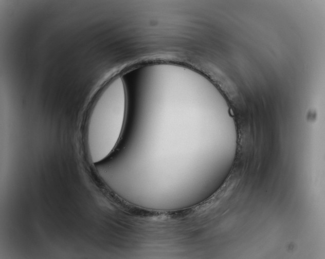 X0000103220112200808280935