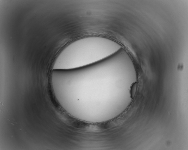 X0000103220114200808280935