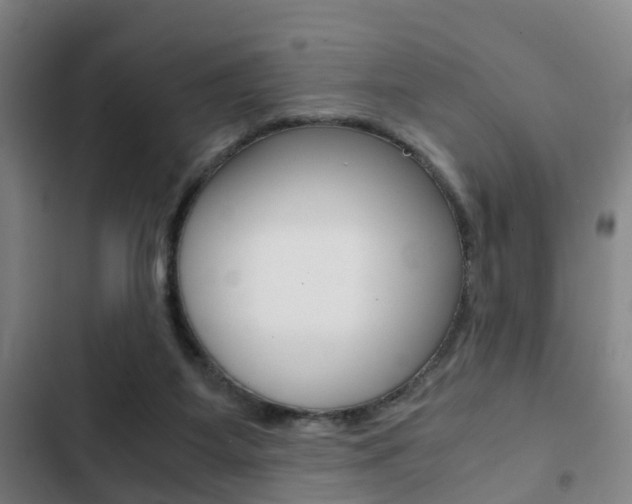 X0000103220115200808280935