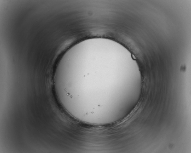 X0000103220116200808280935