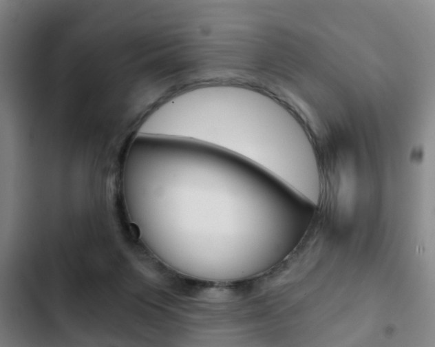 X0000103220119200808280935