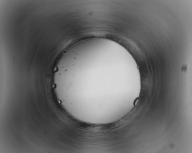 X0000103220120200808280935