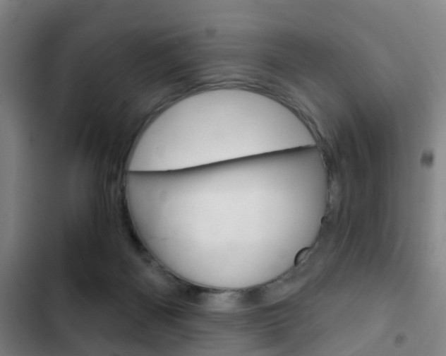X0000103220122200808280935