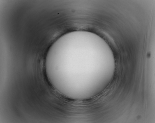 X0000103220123200808280935