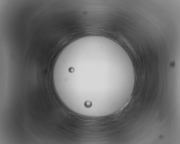 X0000103220124200808280935
