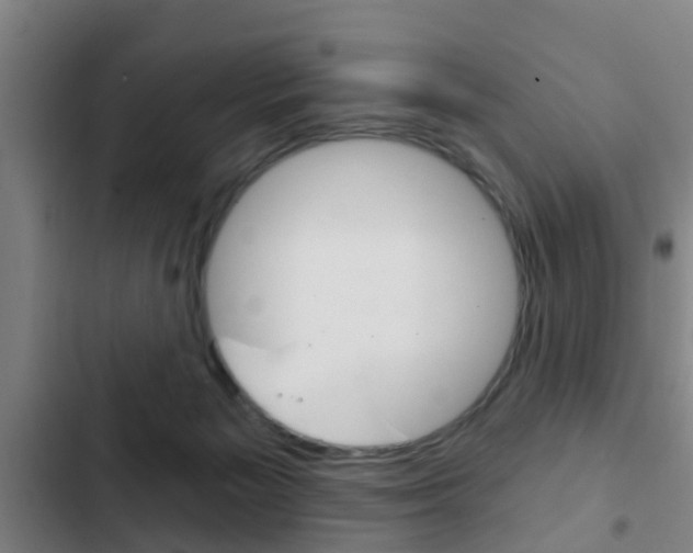 X0000103220125200808280935