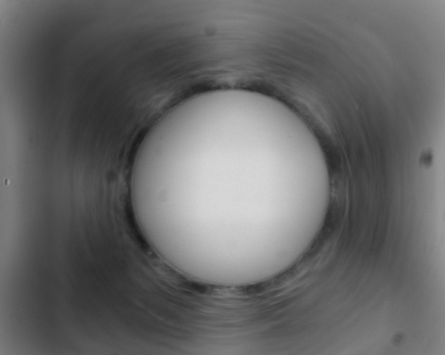 X0000103220127200808280935