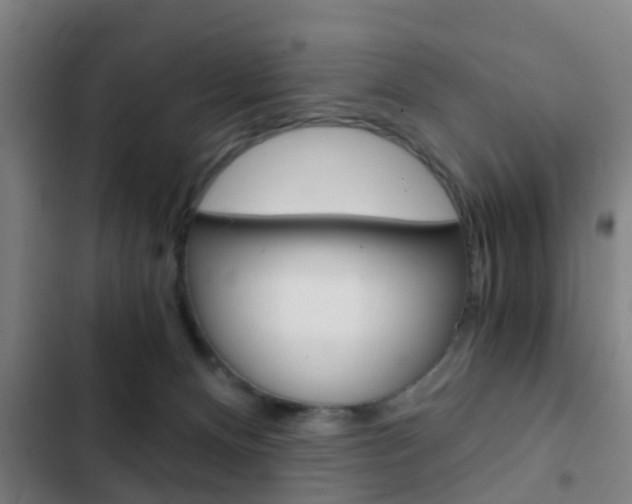 X0000103220128200808280935