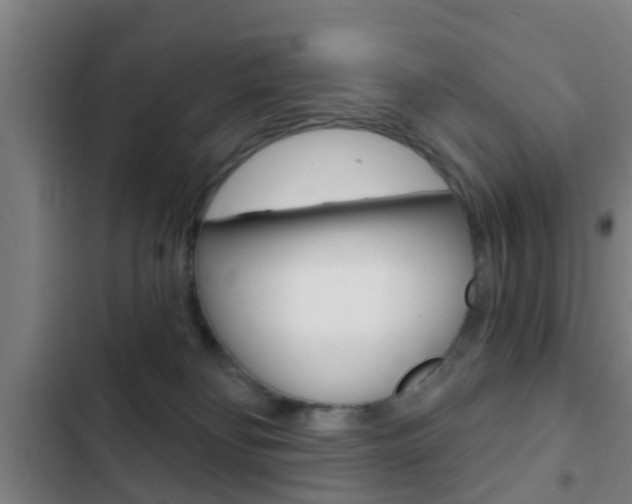 X0000103220134200808280935