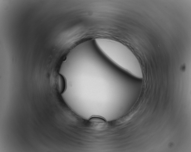 X0000103220135200808280935