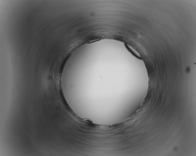 X0000103220141200808280935