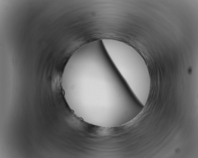X0000103220142200808280934