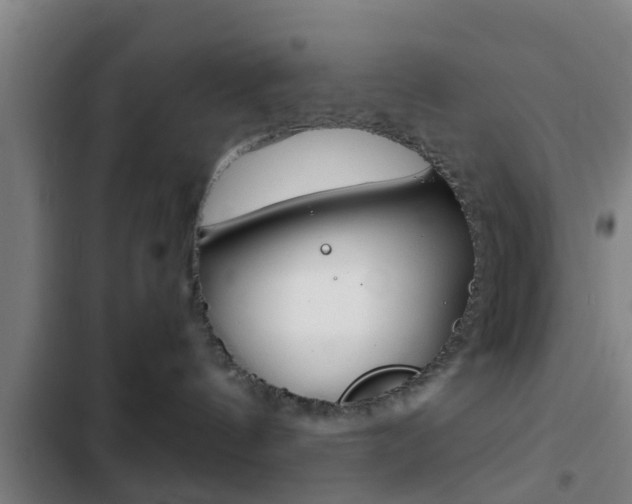 X0000103220144200808280934