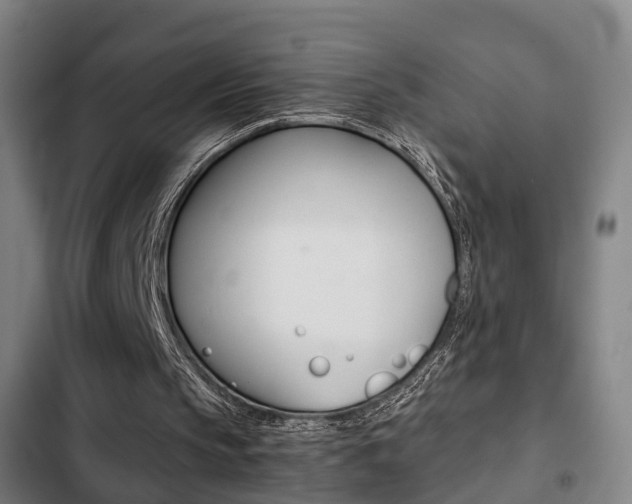 X0000103220145200808280934