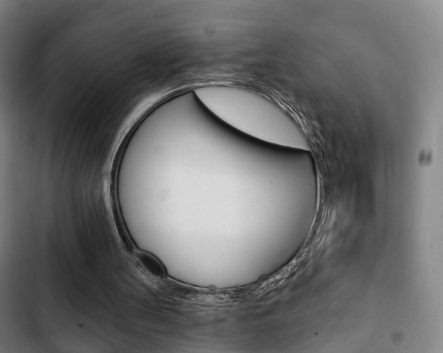X0000103220147200808280934