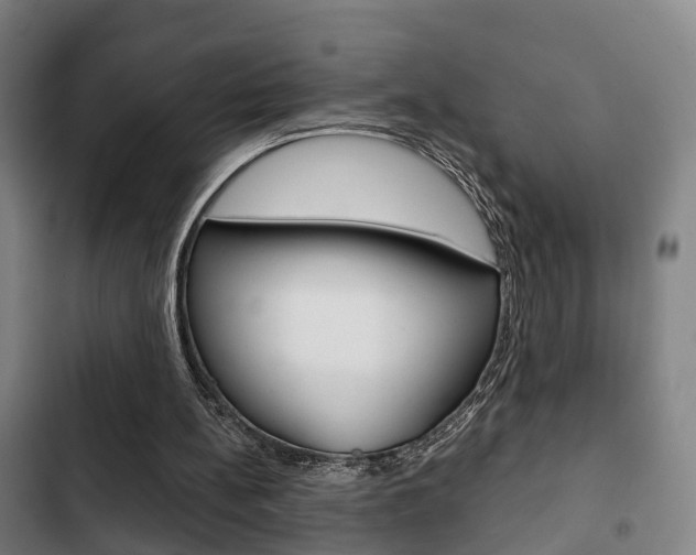 X0000103220148200808280934