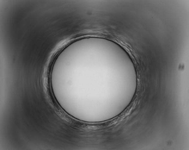 X0000103220149200808280934