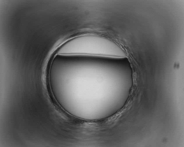 X0000103220150200808280934