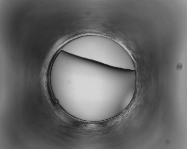 X0000103220151200808280934