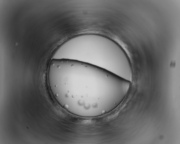 X0000103220153200808280934