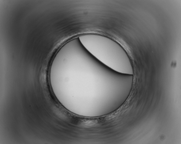 X0000103220155200808280934