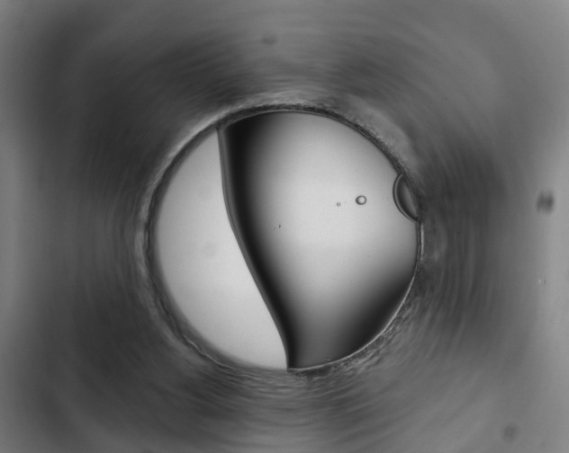 X0000103220156200808280934
