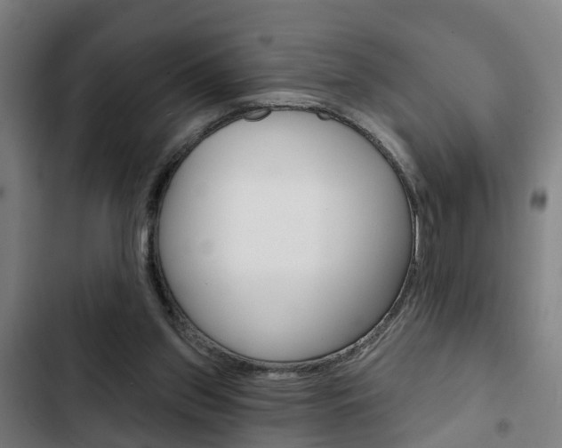 X0000103220157200808280934