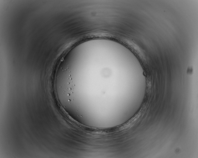 X0000103220158200808280934