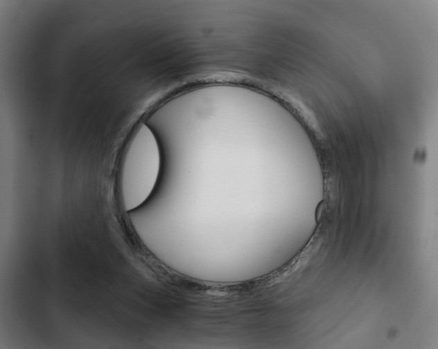 X0000103220159200808280934