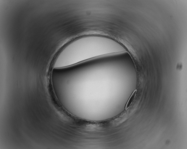 X0000103220160200808280934