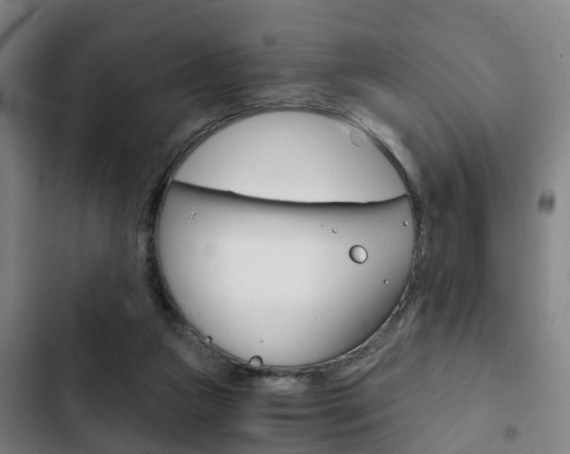 X0000103220161200808280934
