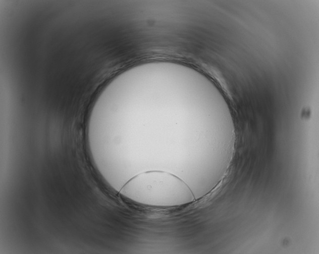 X0000103220162200808280934