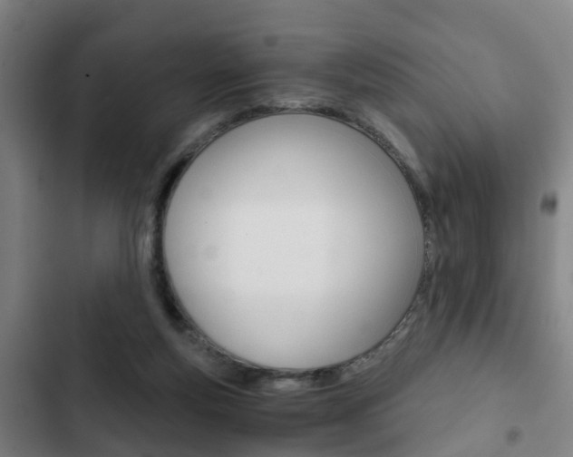 X0000103220163200808280934