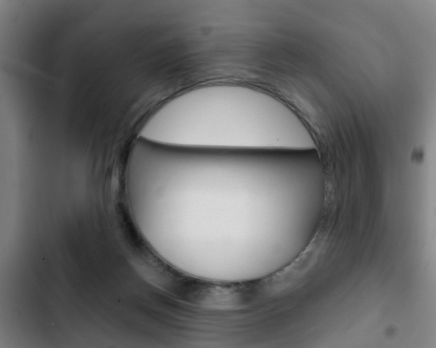 X0000103220166200808280934