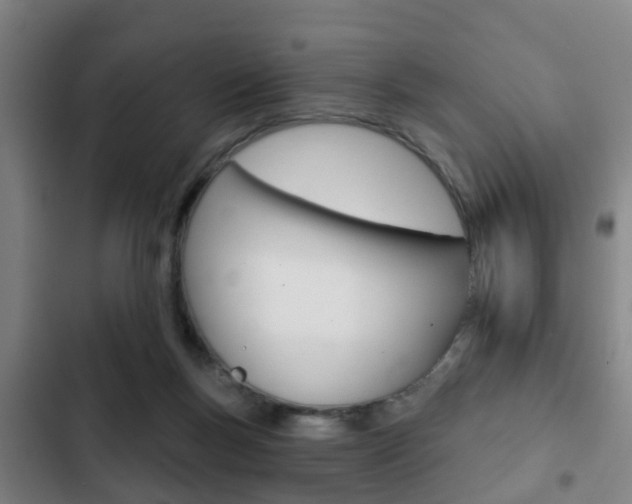 X0000103220167200808280934