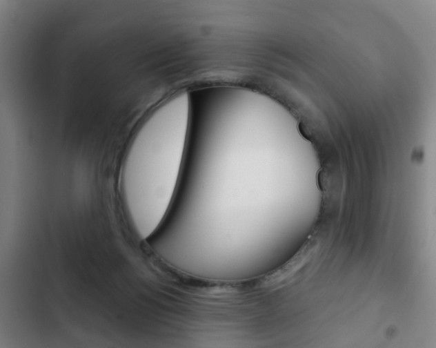 X0000103220168200808280934