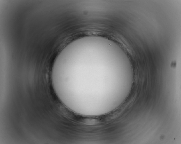 X0000103220169200808280934