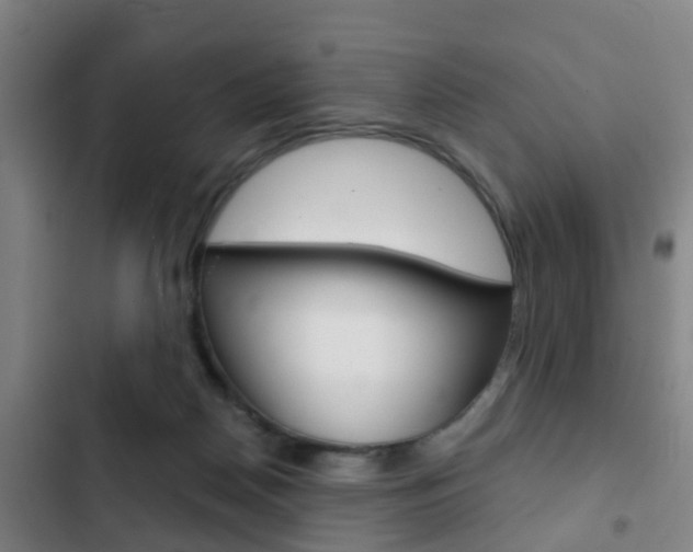 X0000103220170200808280934