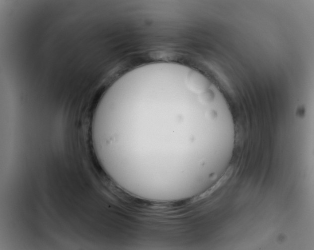 X0000103220171200808280934