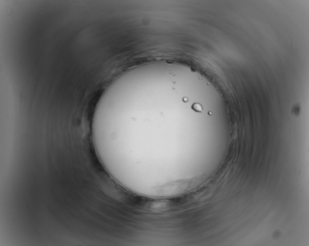 X0000103220173200808280934