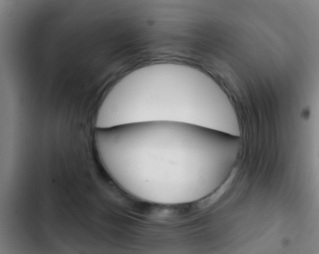 X0000103220174200808280934