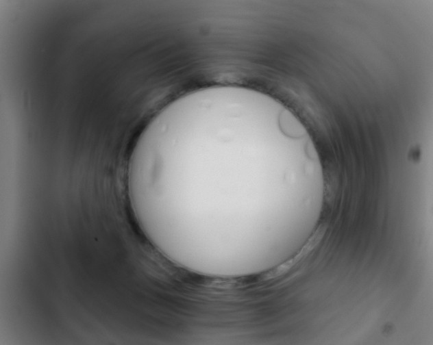 X0000103220175200808280934