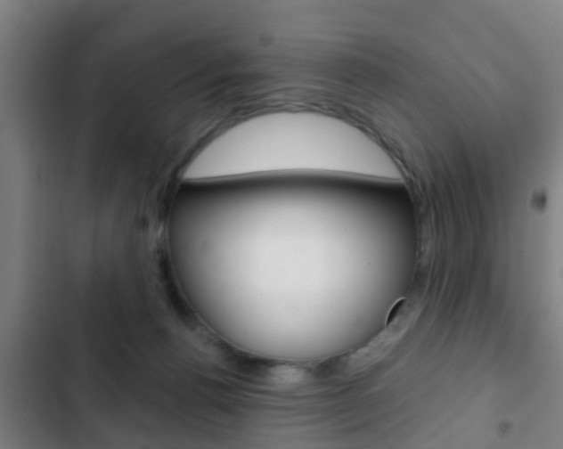 X0000103220176200808280934