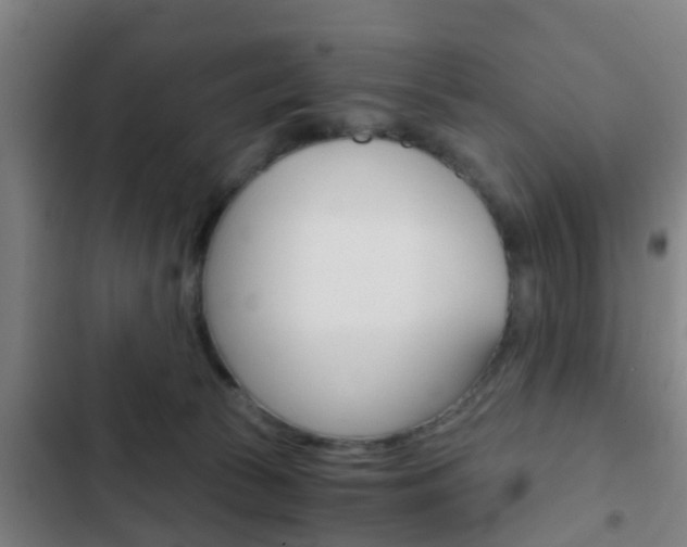 X0000103220177200808280934