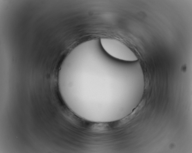 X0000103220179200808280934