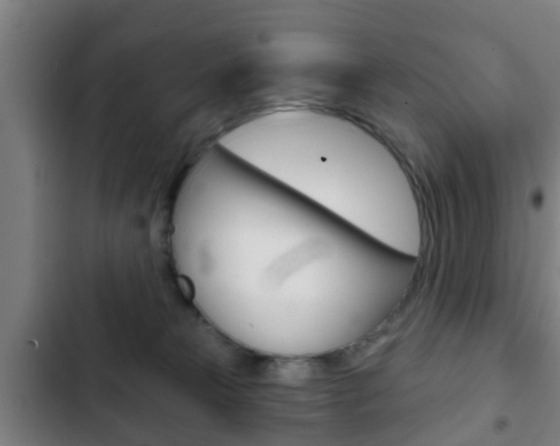 X0000103220181200808280934