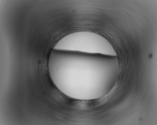 X0000103220182200808280934