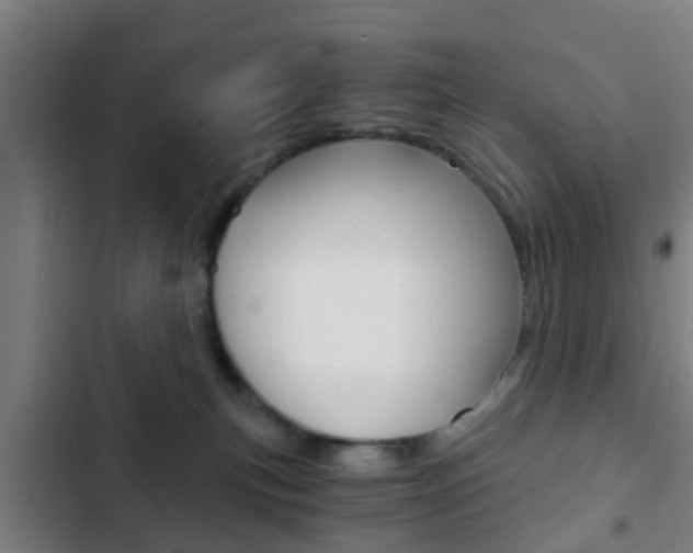 X0000103220183200808280934